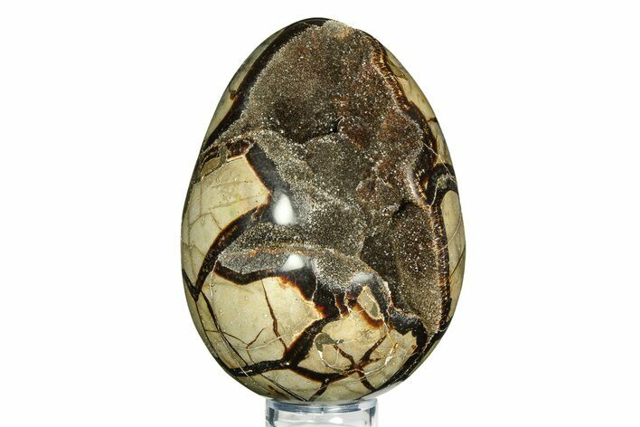 Septarian Dragon Egg Geode - Sparkly Black Crystals #308831